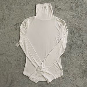 Aritzia Sunday Best Freshman Turtleneck